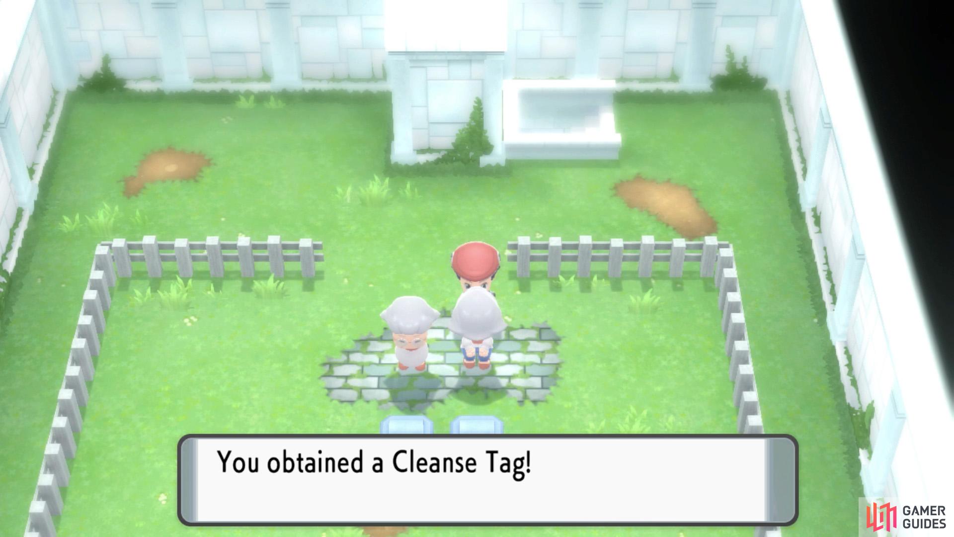 Cleanse Tag.