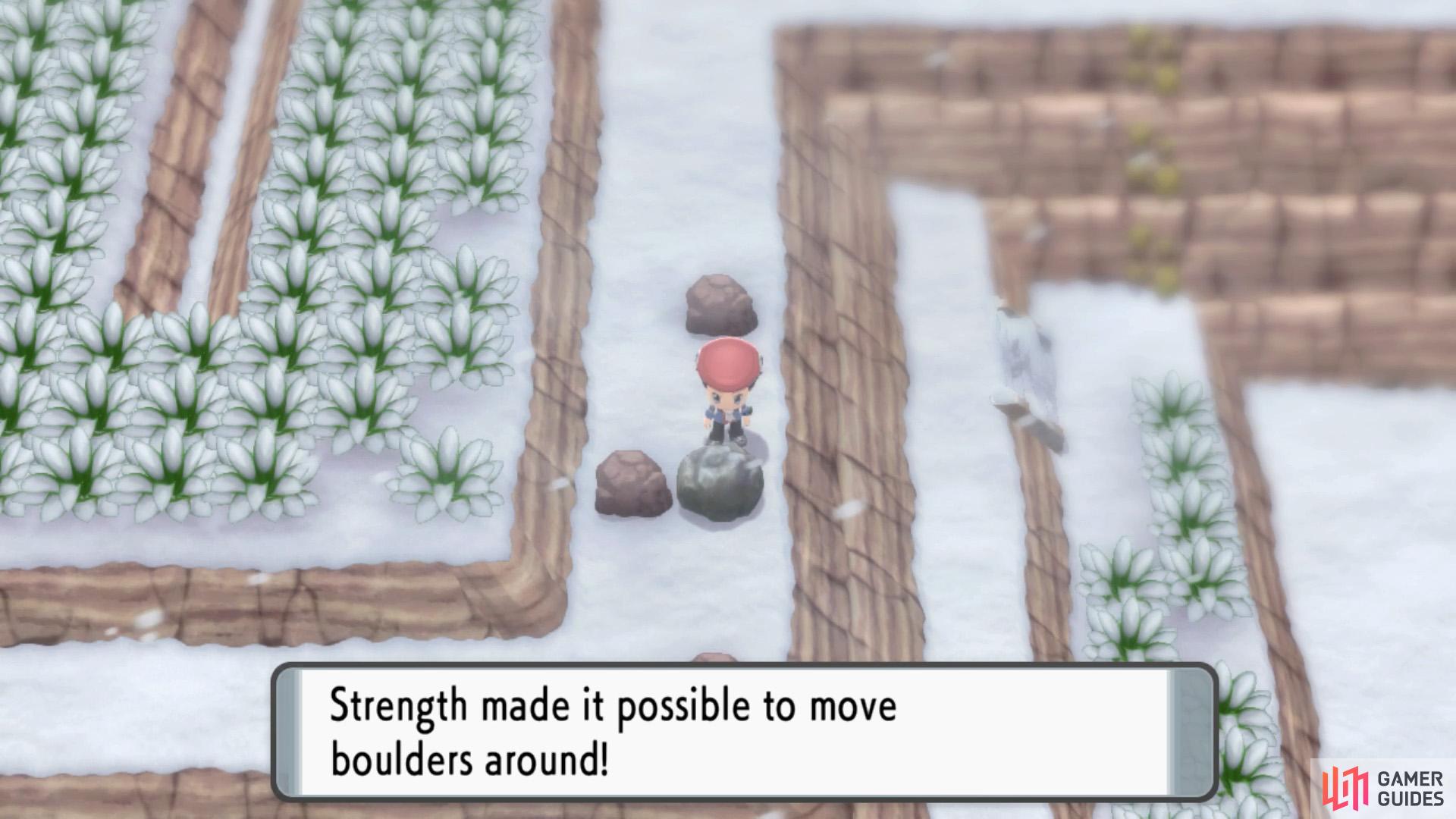 The right-hand side path has a boulder you shove with HM Strength.