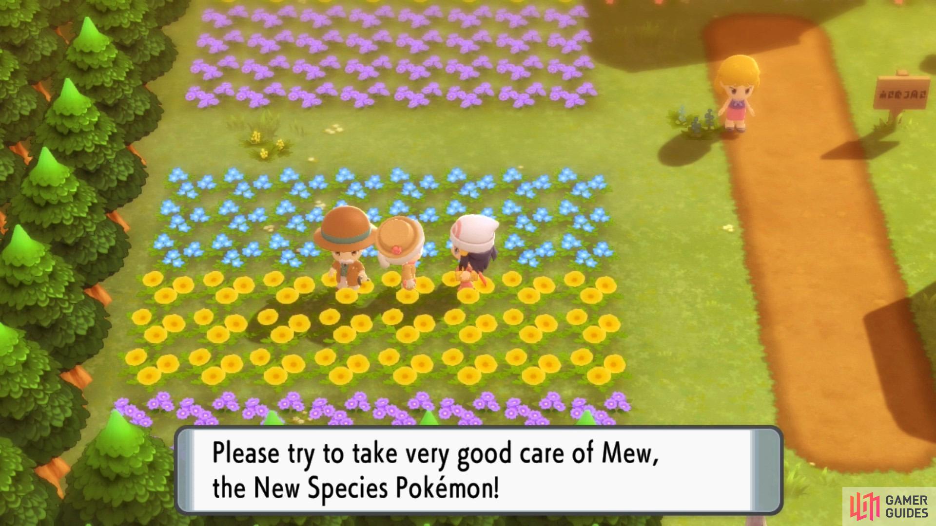 Chat to the kind lady to adopt Mew from the Kanto region.