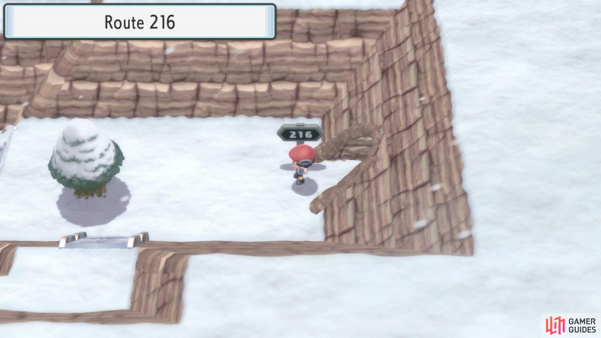 Route 216.