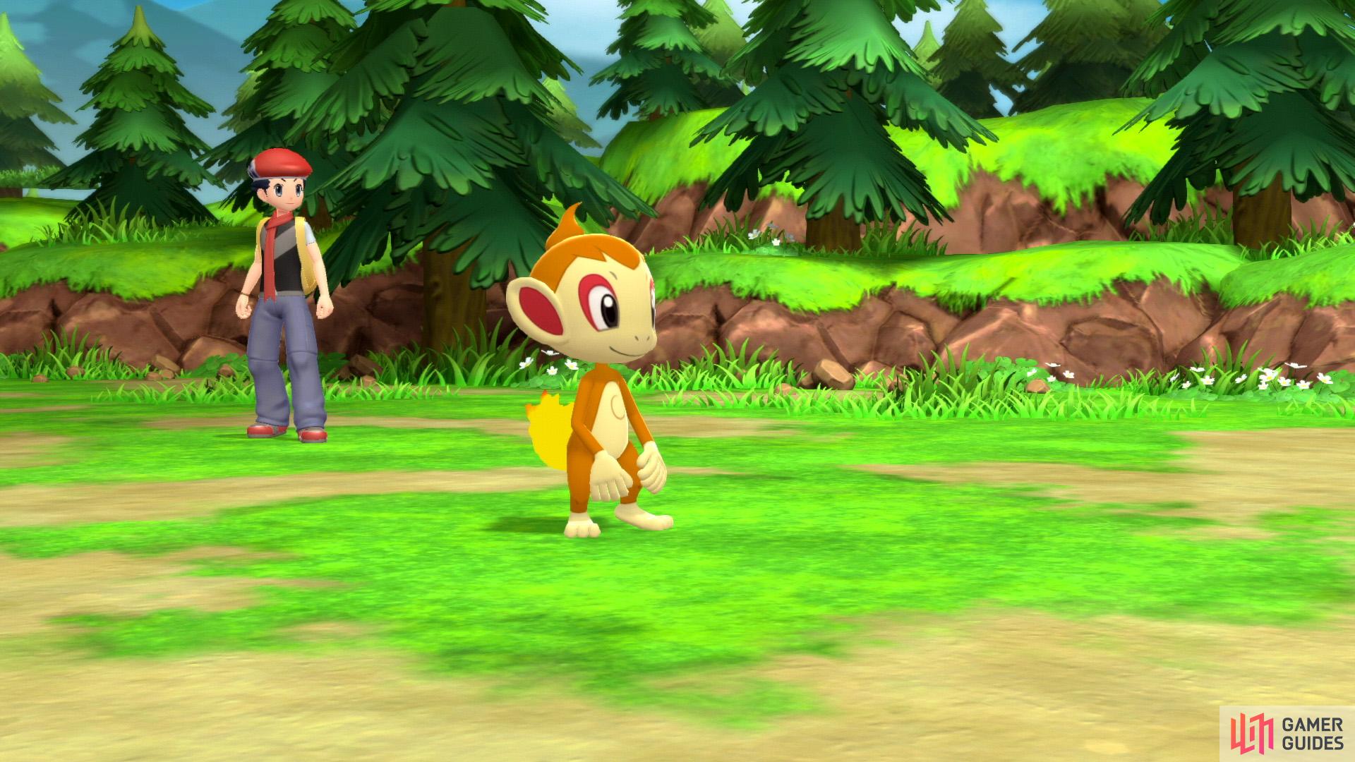 Chimchar is agile and packs a punch.