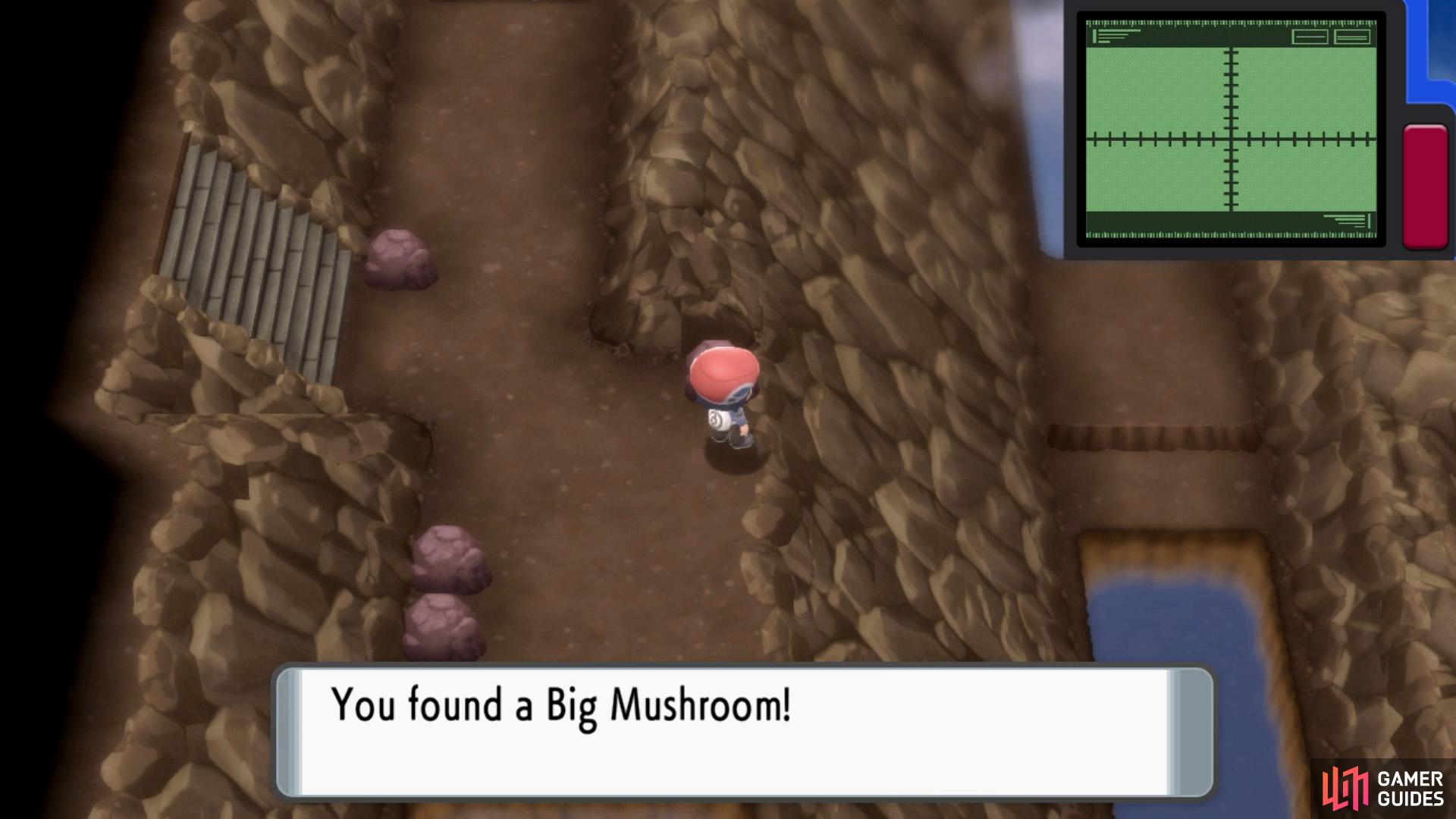 Hidden Big Mushroom.