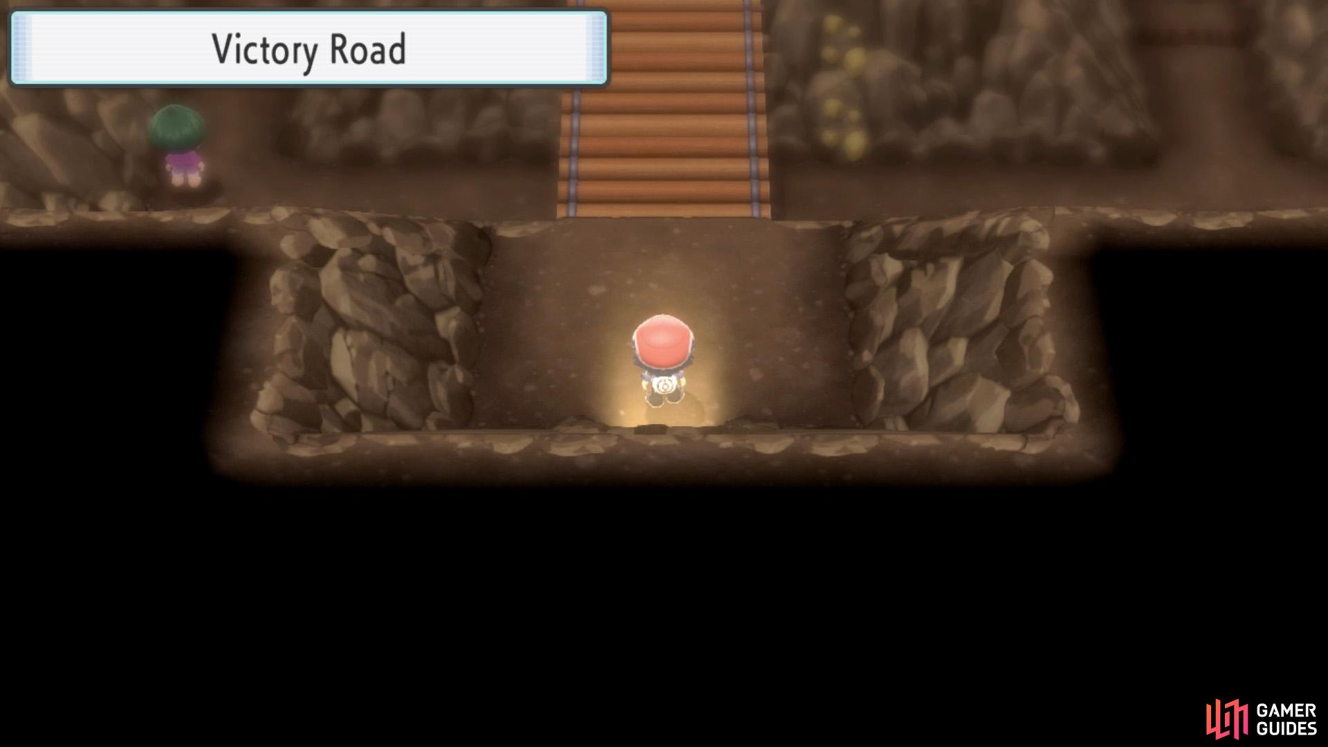 Victory Road is a maze of bridges and tunnels.