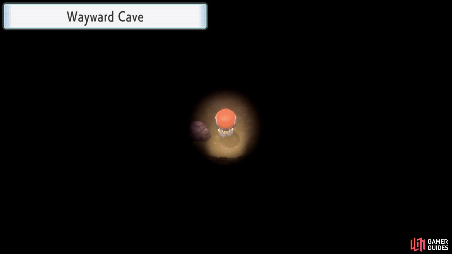 The inside of Wayward Cave is pitch-black.