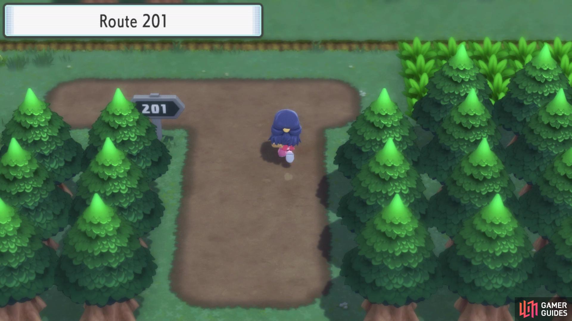 Route 201 can be accessed from Twinleaf Town.