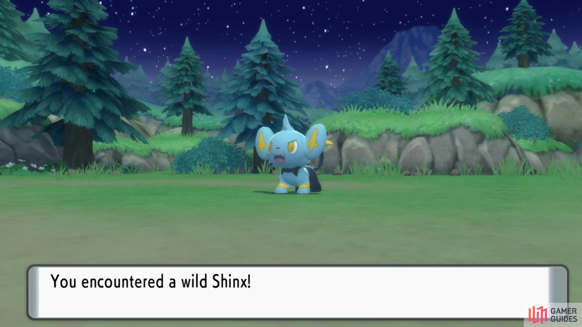 Shinx on Route 202.