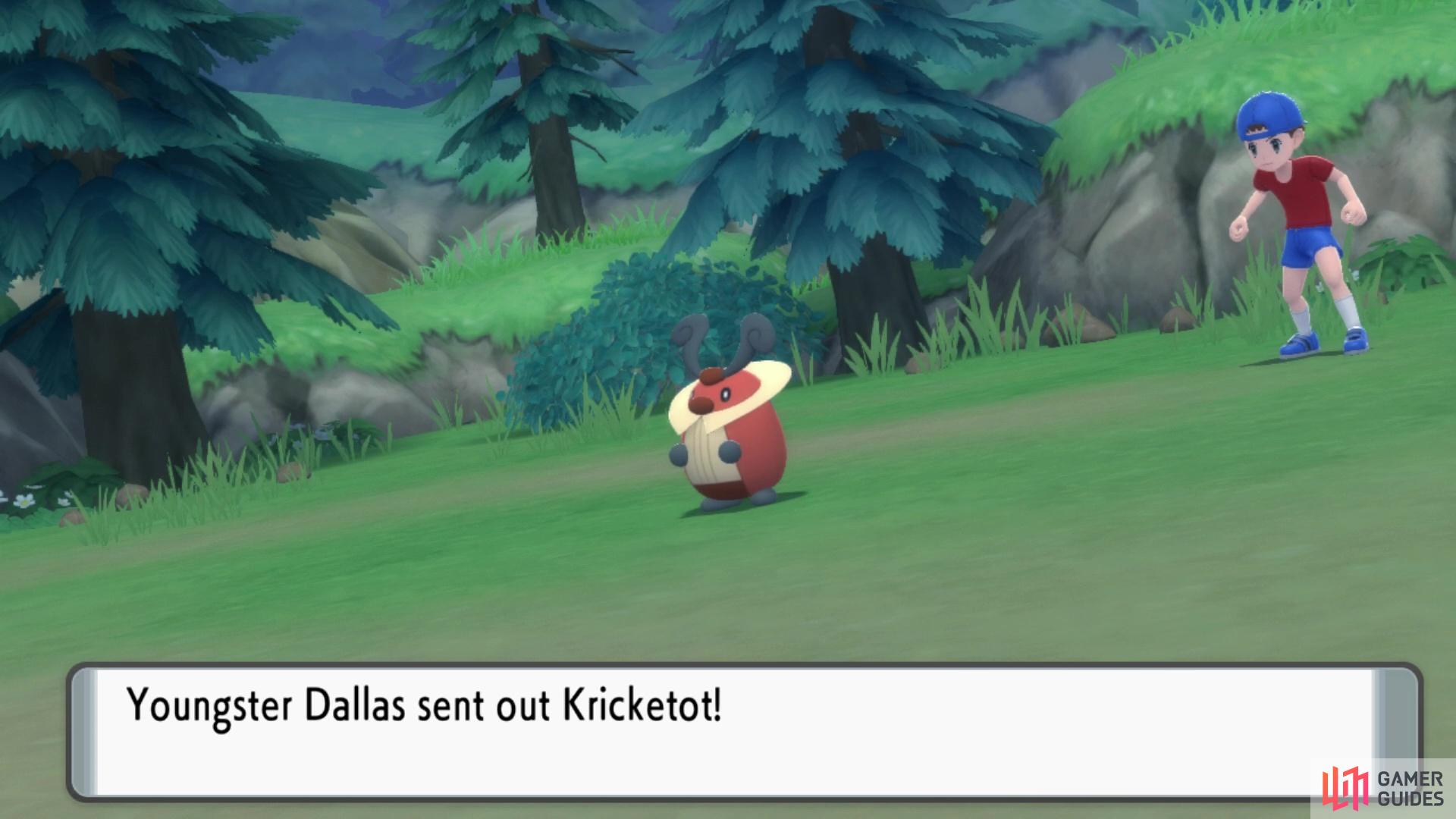 Youngster Dallas has a Kricketot.