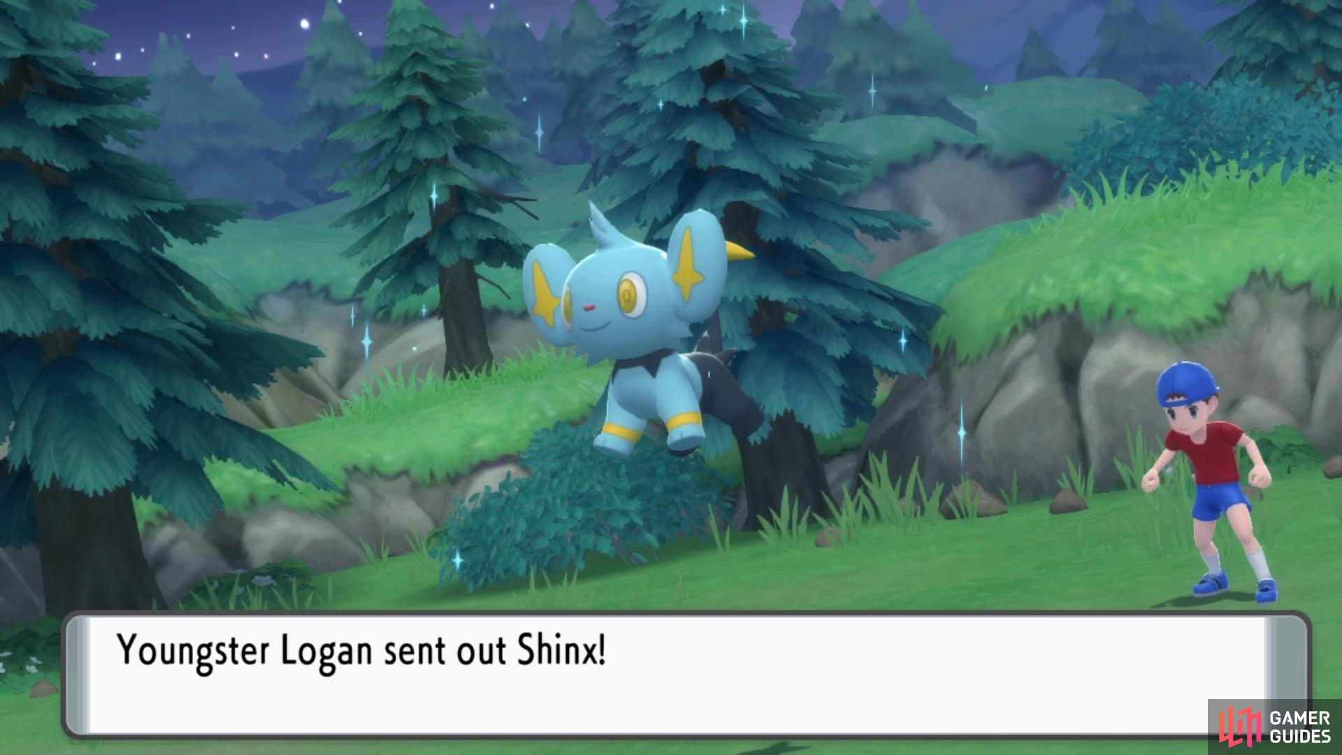 Youngster Logan will send out his Shinx.