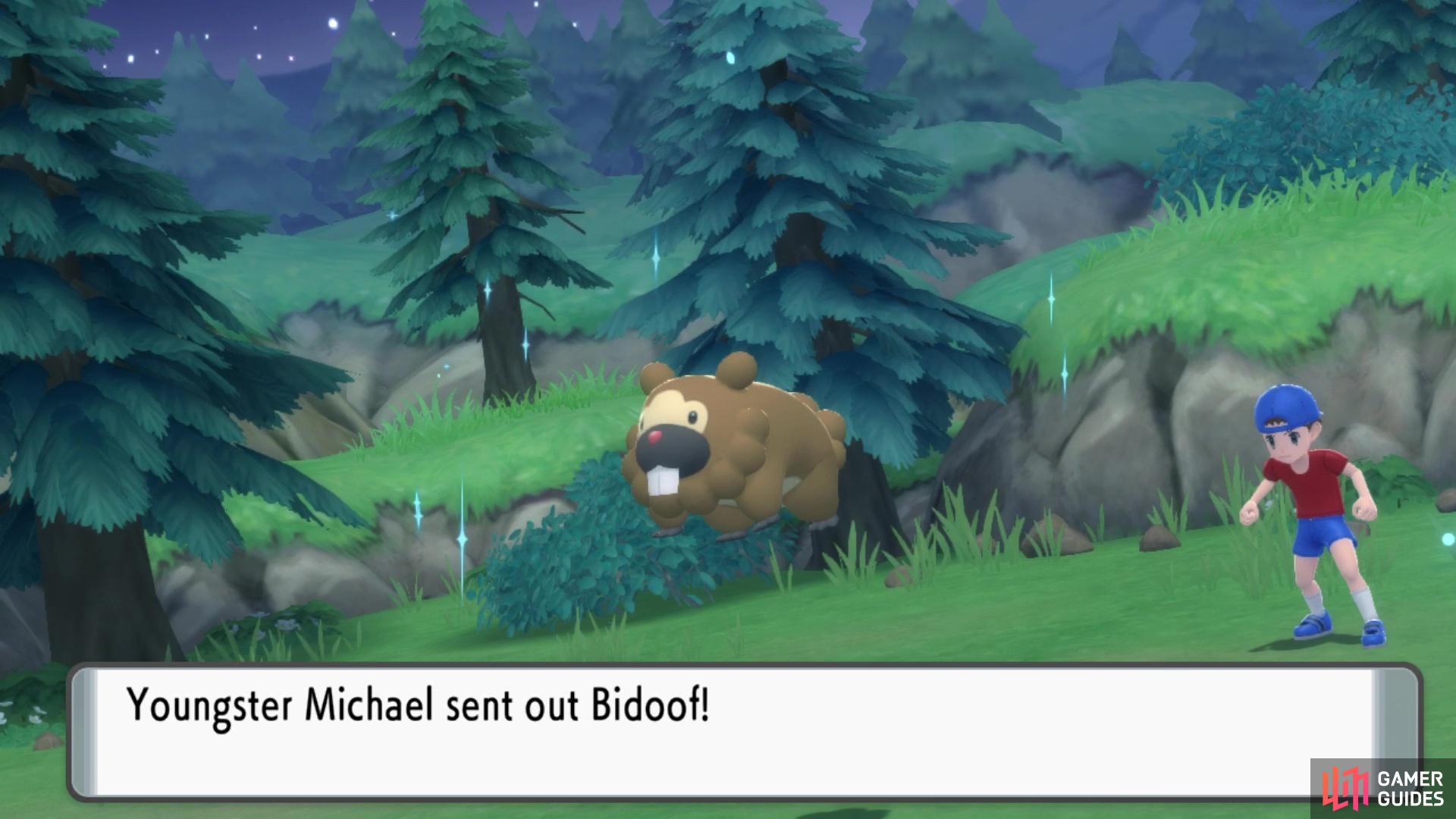Youngster Michael sends out a Bidoof