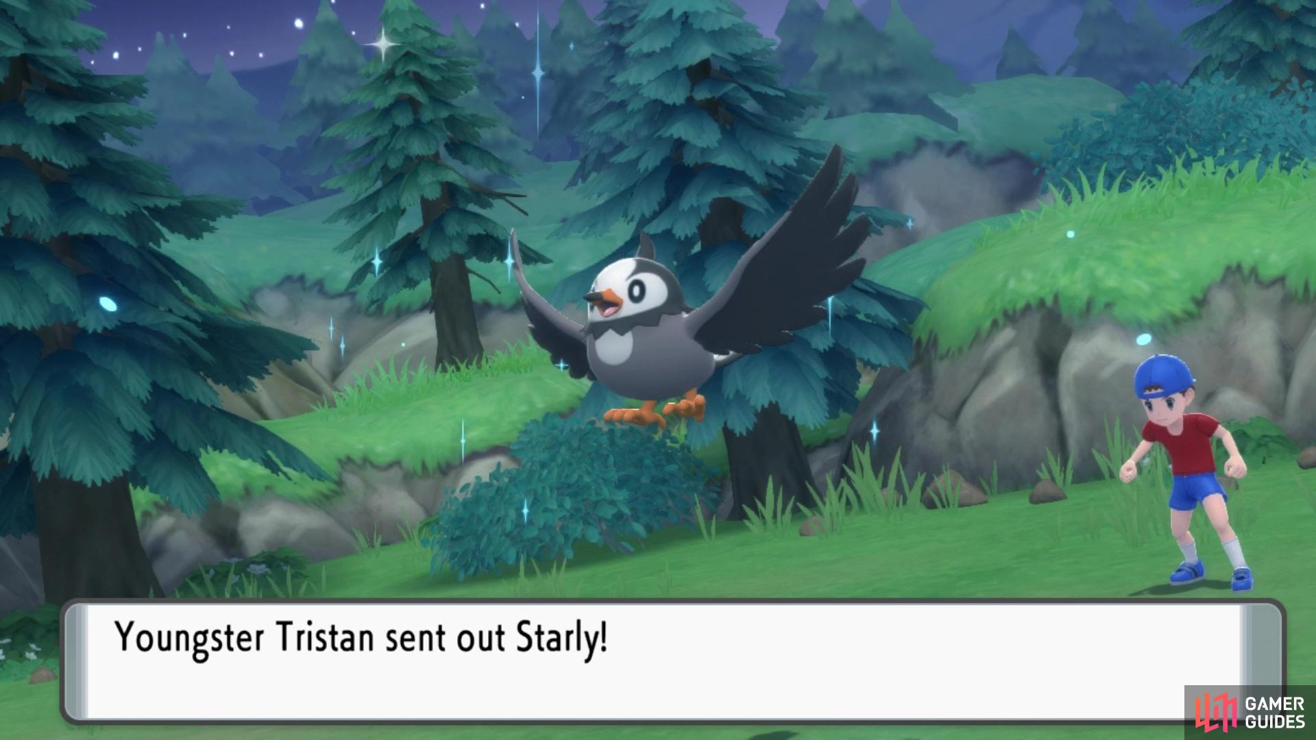 Youngster Tristan challenges you with his Starly!