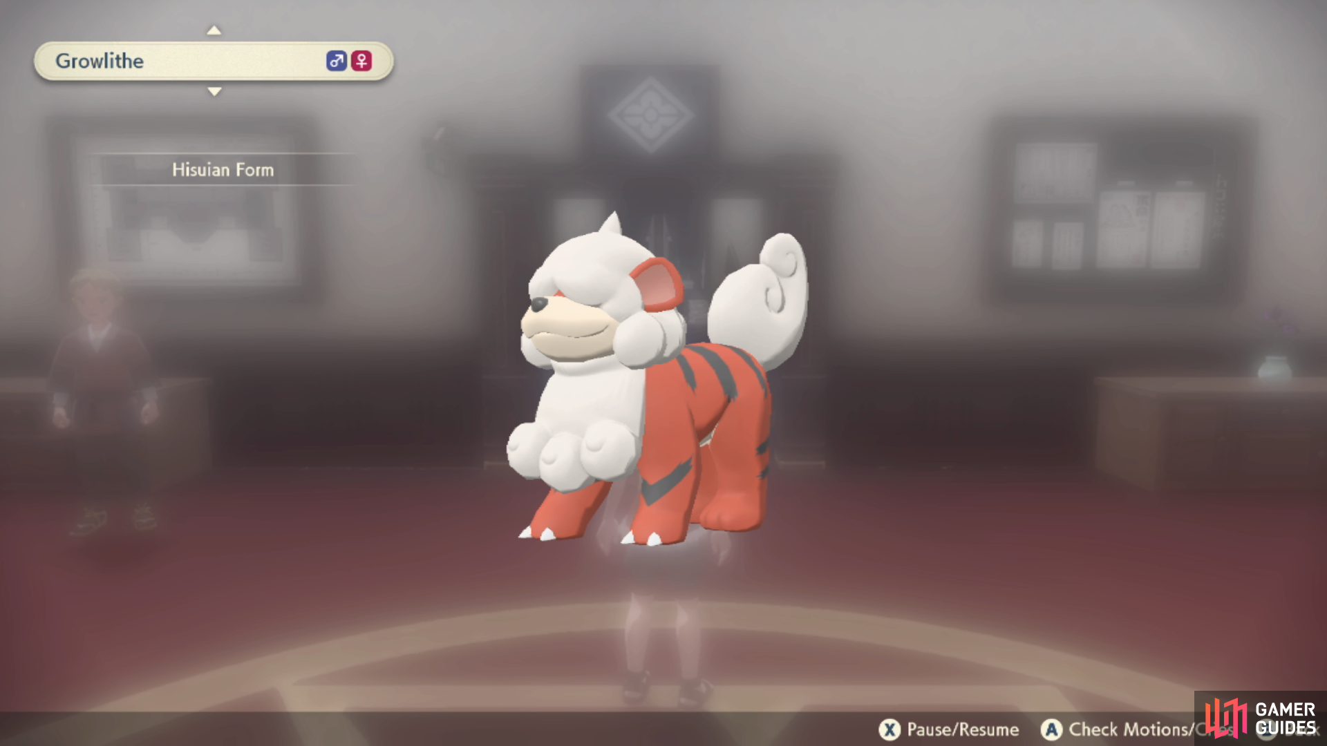 Pokemon 58 Growlithe Pokedex: Evolution, Moves, Location, Stats