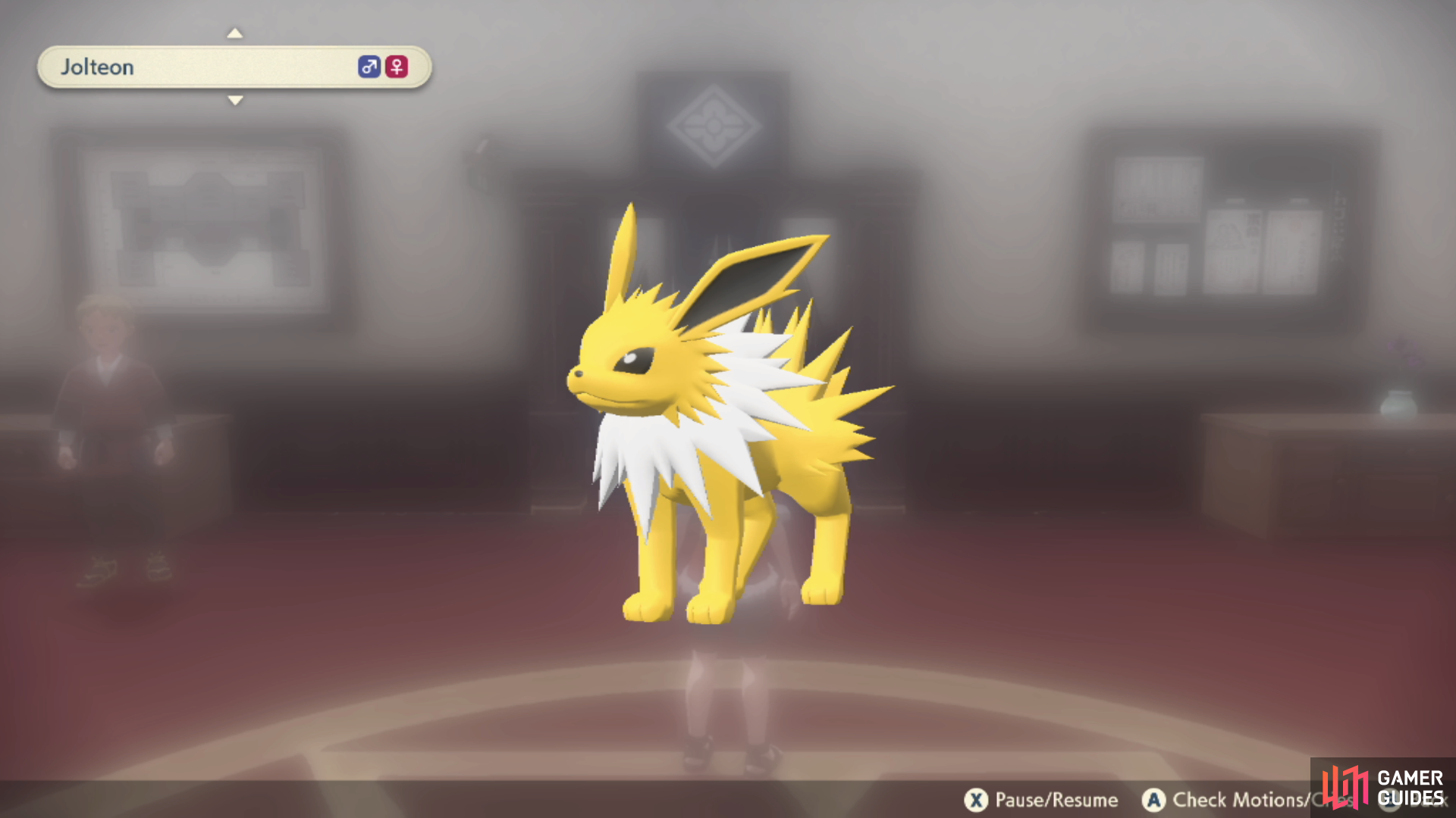 Pokémon Legends Arceus Eevee evolution: How to evolve Eevee into