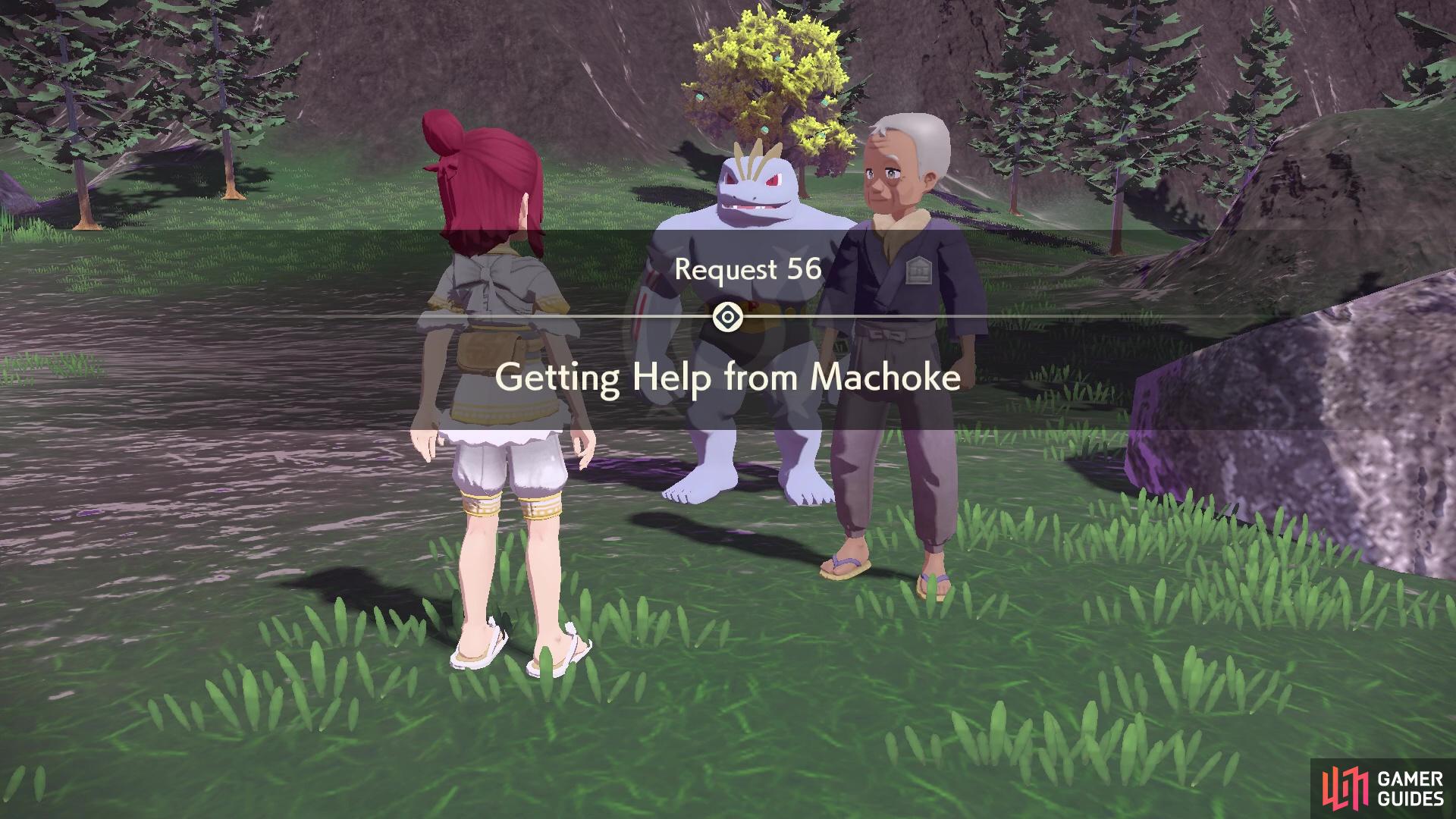 Request 56: Getting Help from Machoke.