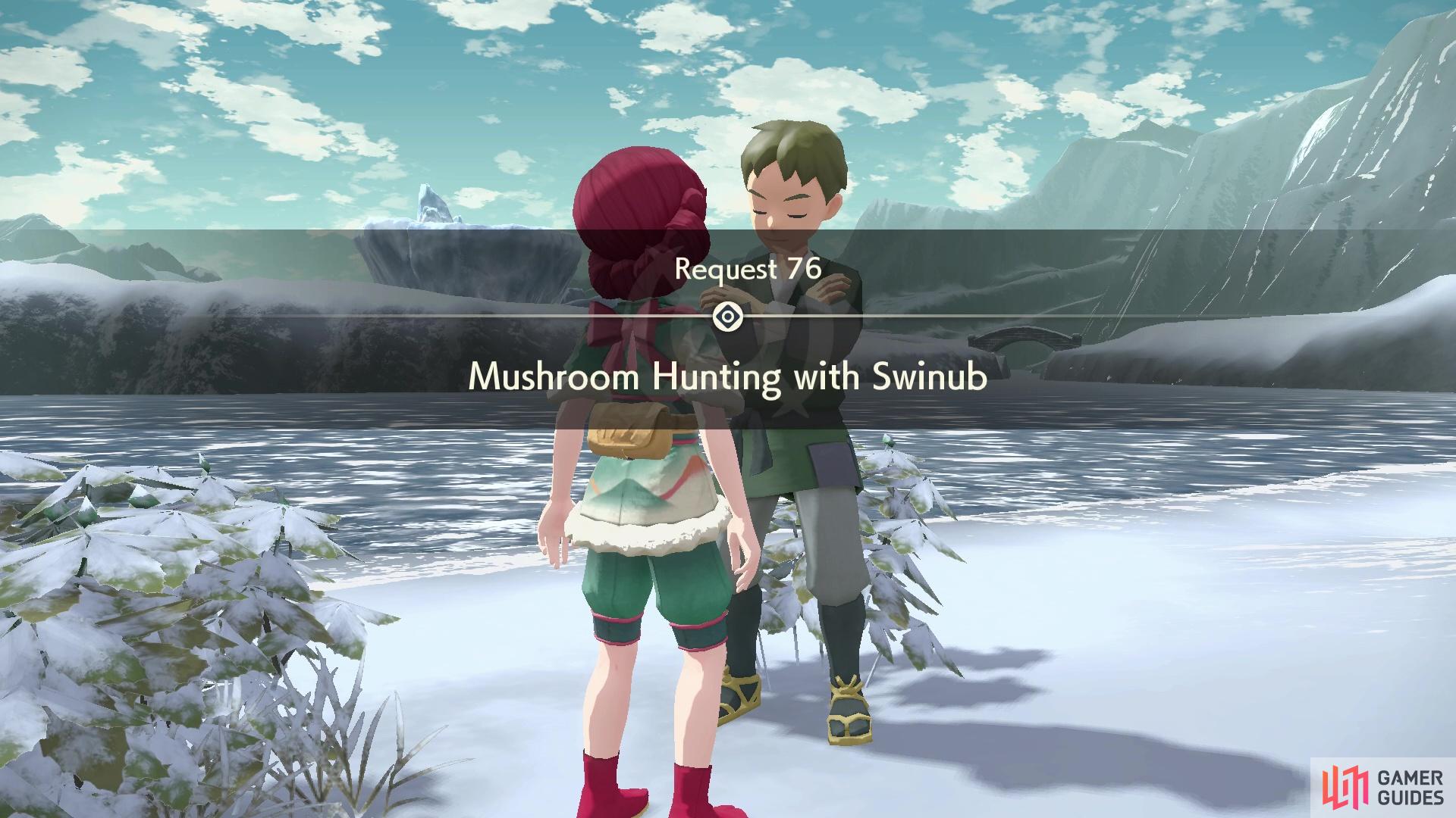 Request 76: Mushroom Hunting with Swinub.