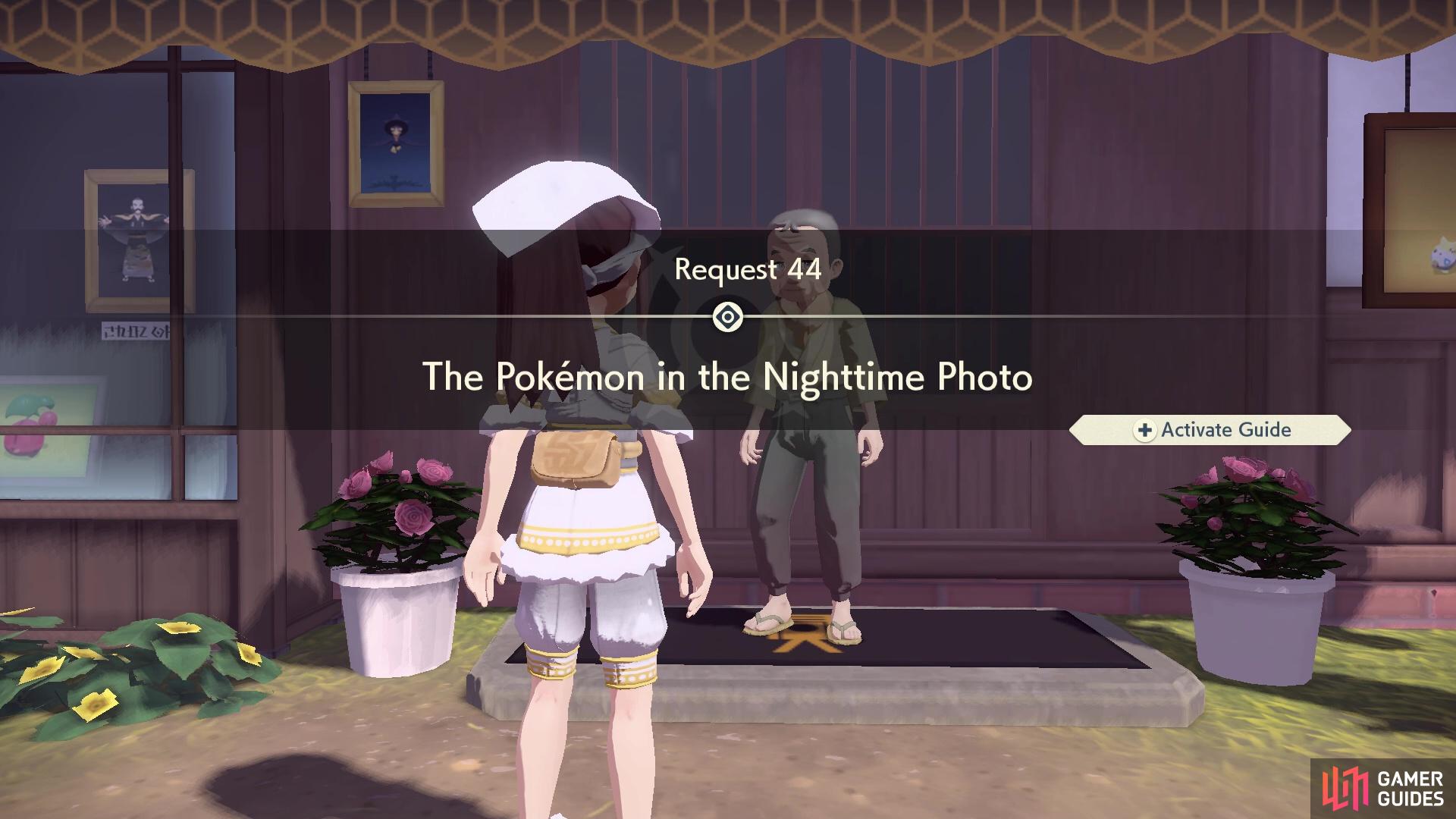 Request 44: The Pokémon in the Nighttime Photo.