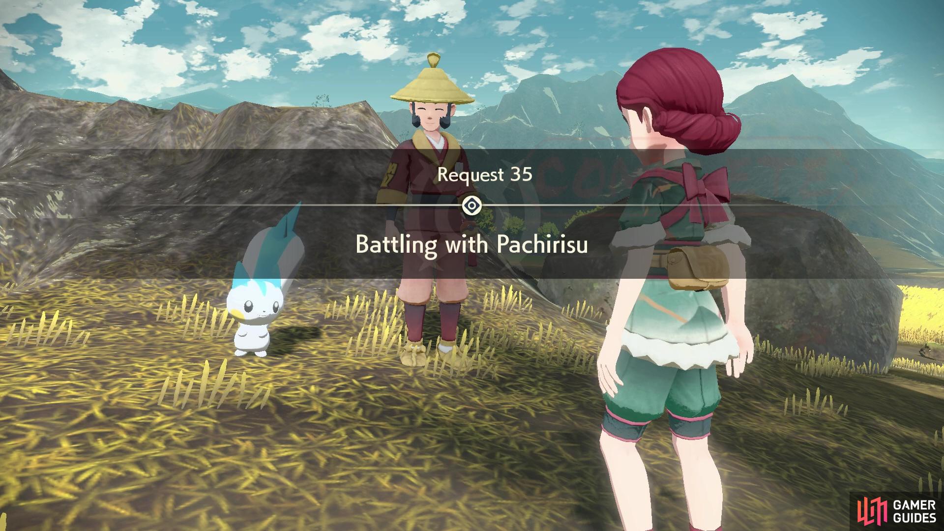 Request 35: Battling with Pachirisu.