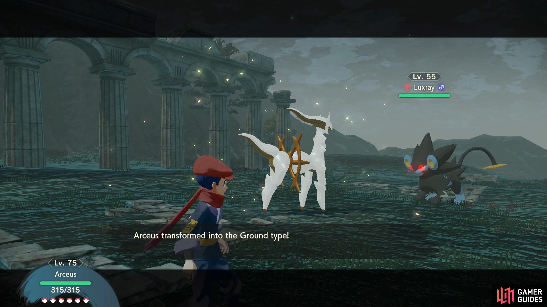 Now Arceus will shift types when using Judgement, somewhat similar to Greninja's Protean.