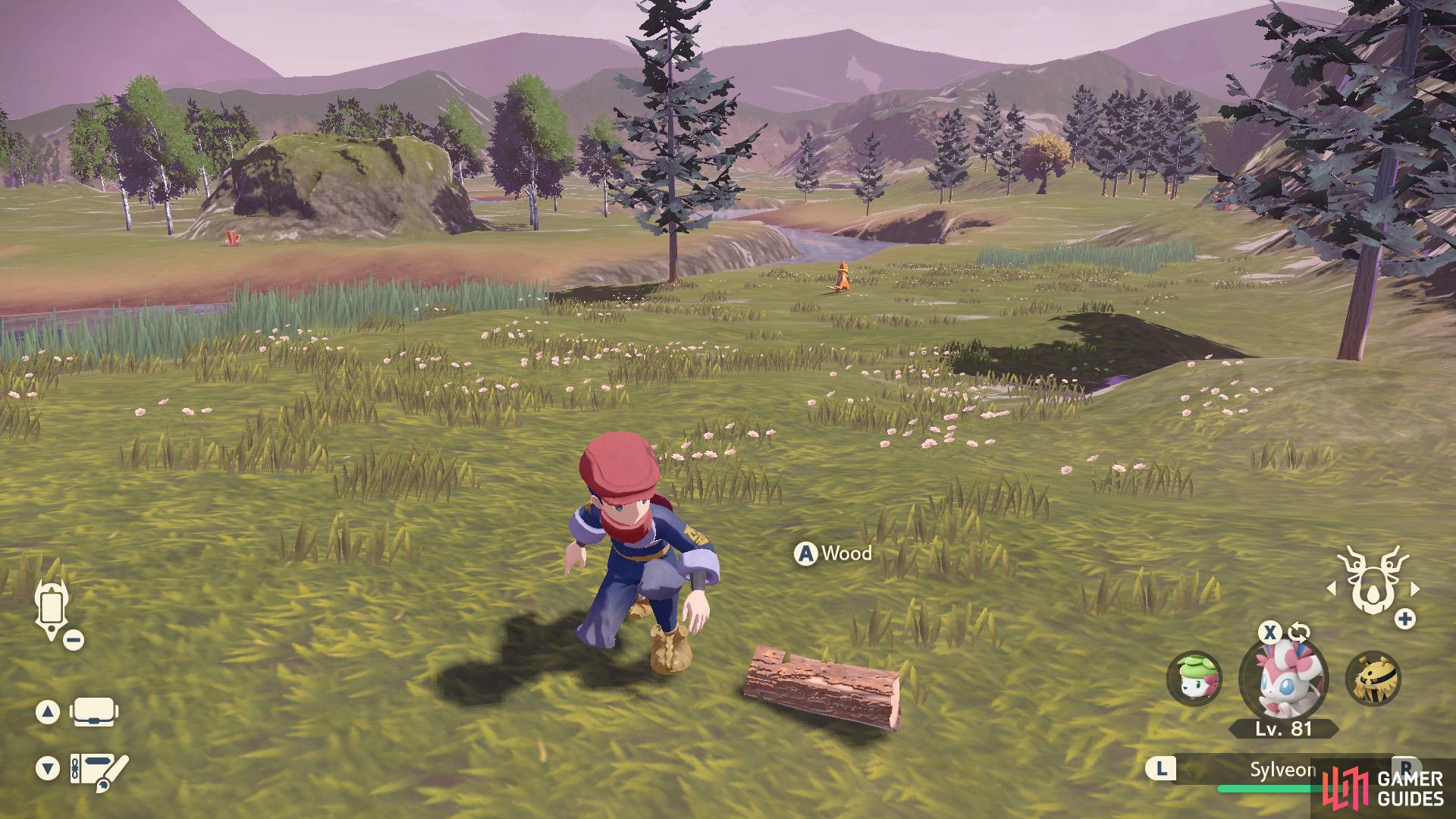 A piece of wood at Deertrack Path, near a Buizel spawn.