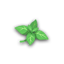 timidmint.png