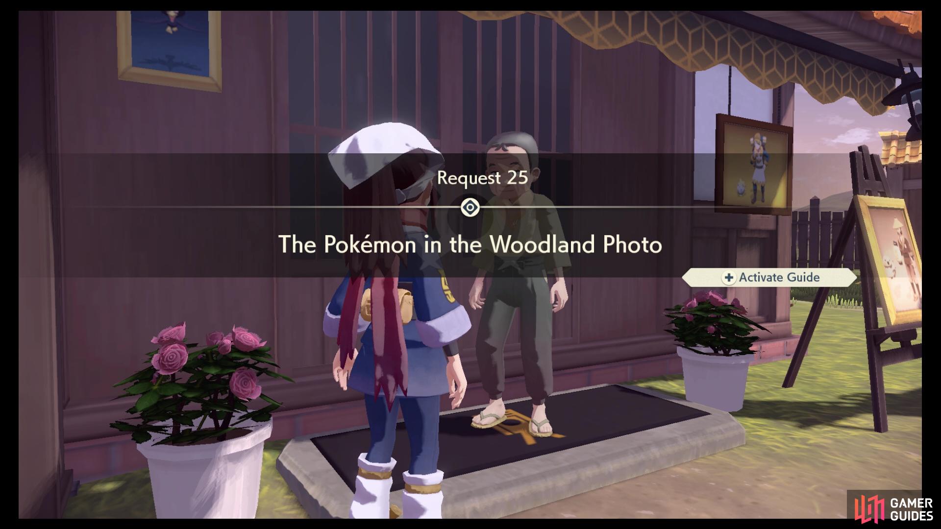Request 25: The Pokémon in the Woodland Photo.