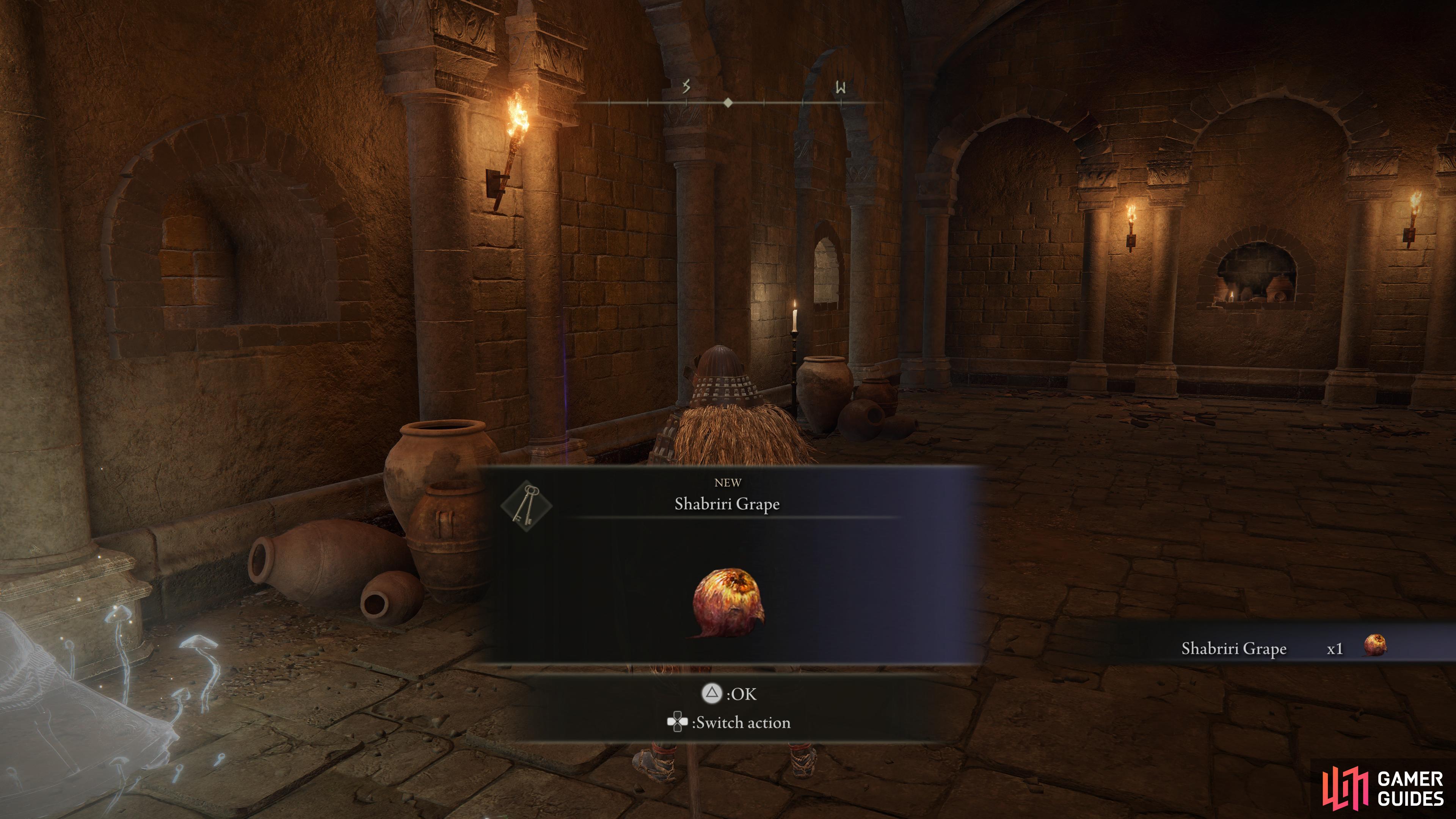 the first Shabriri grape can be found in the section of Stormveil Castle before you enter Liurna for the first time.