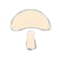 MushroomIconIngredientsTalesofArise.png