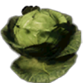 Cabbage_Harvesting_Gathering_New_World.png