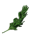 Dill_Harvesting_Gathering_New_World.png