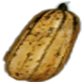 Squash_Harvesting_Gathering_New_World.png