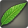 IslandPalmLeaf.png