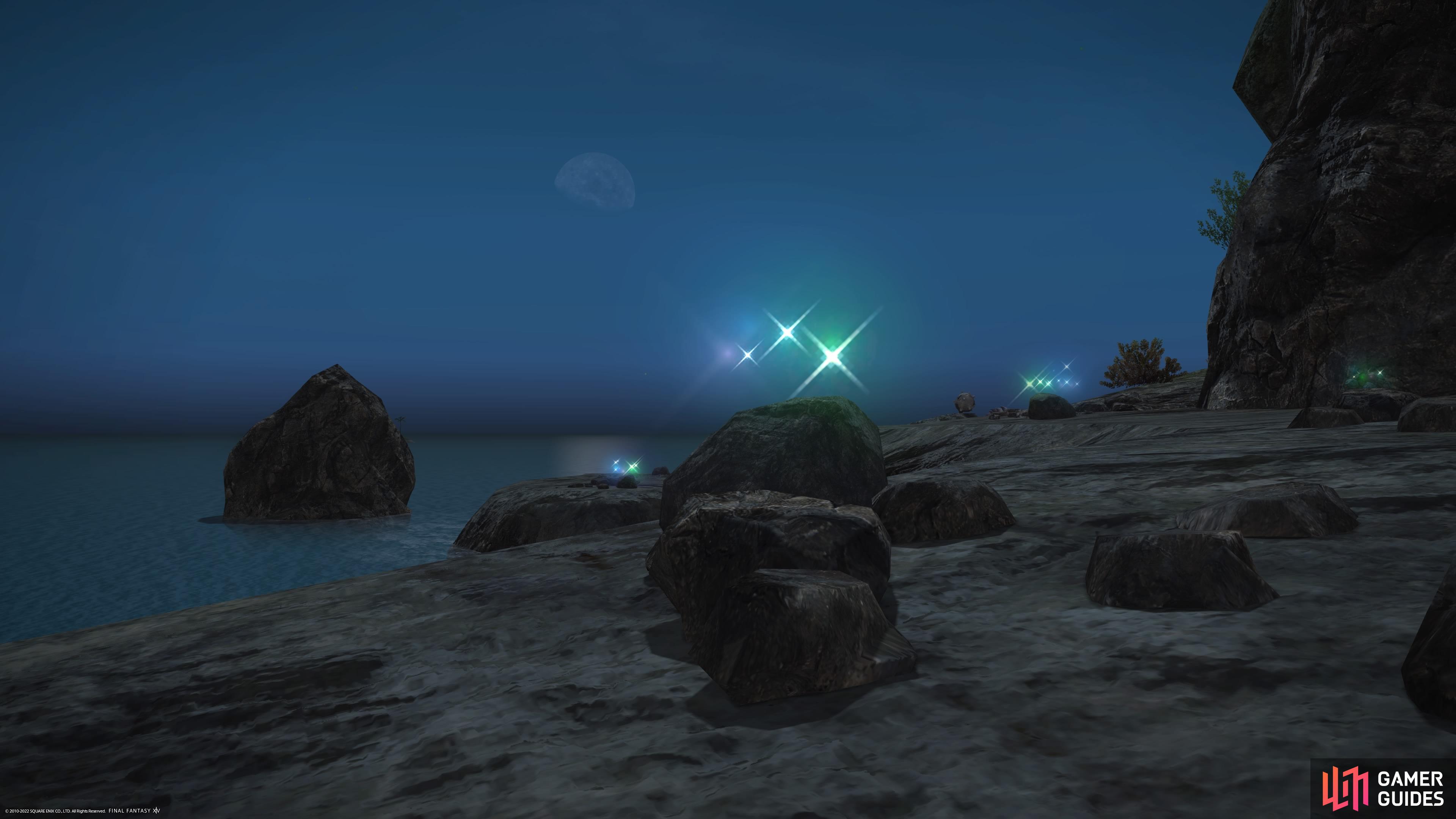 Island Sanctuary Macro