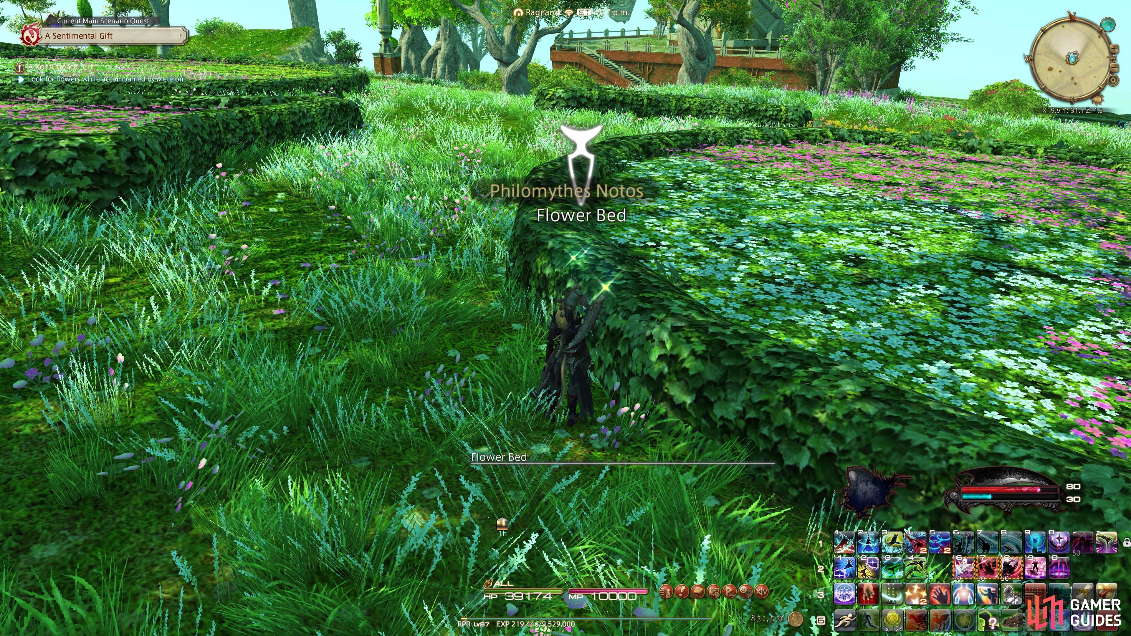 Examine the flower bed with Meteion.