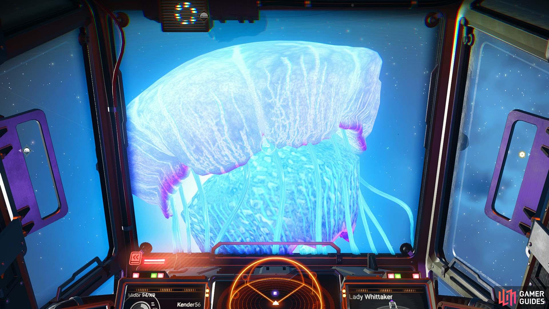 Resembling a translucent jellyfish, this rare encounter is a great NMS find.