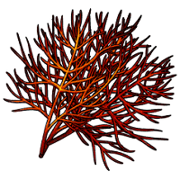 Fire_Blossom_Seed.png