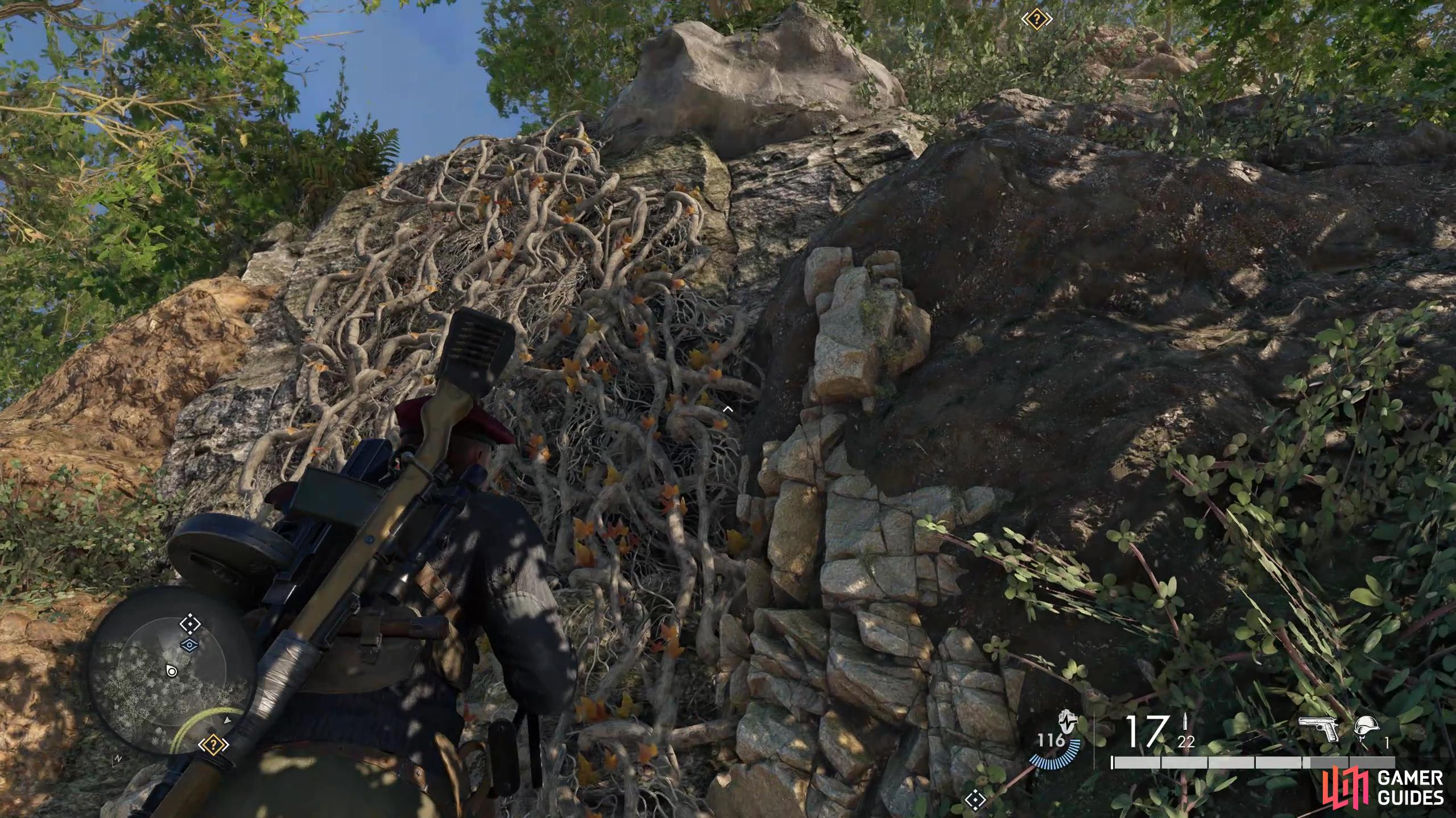 To access the resistance camp you will need to travel past the waterfall and climb these vines.