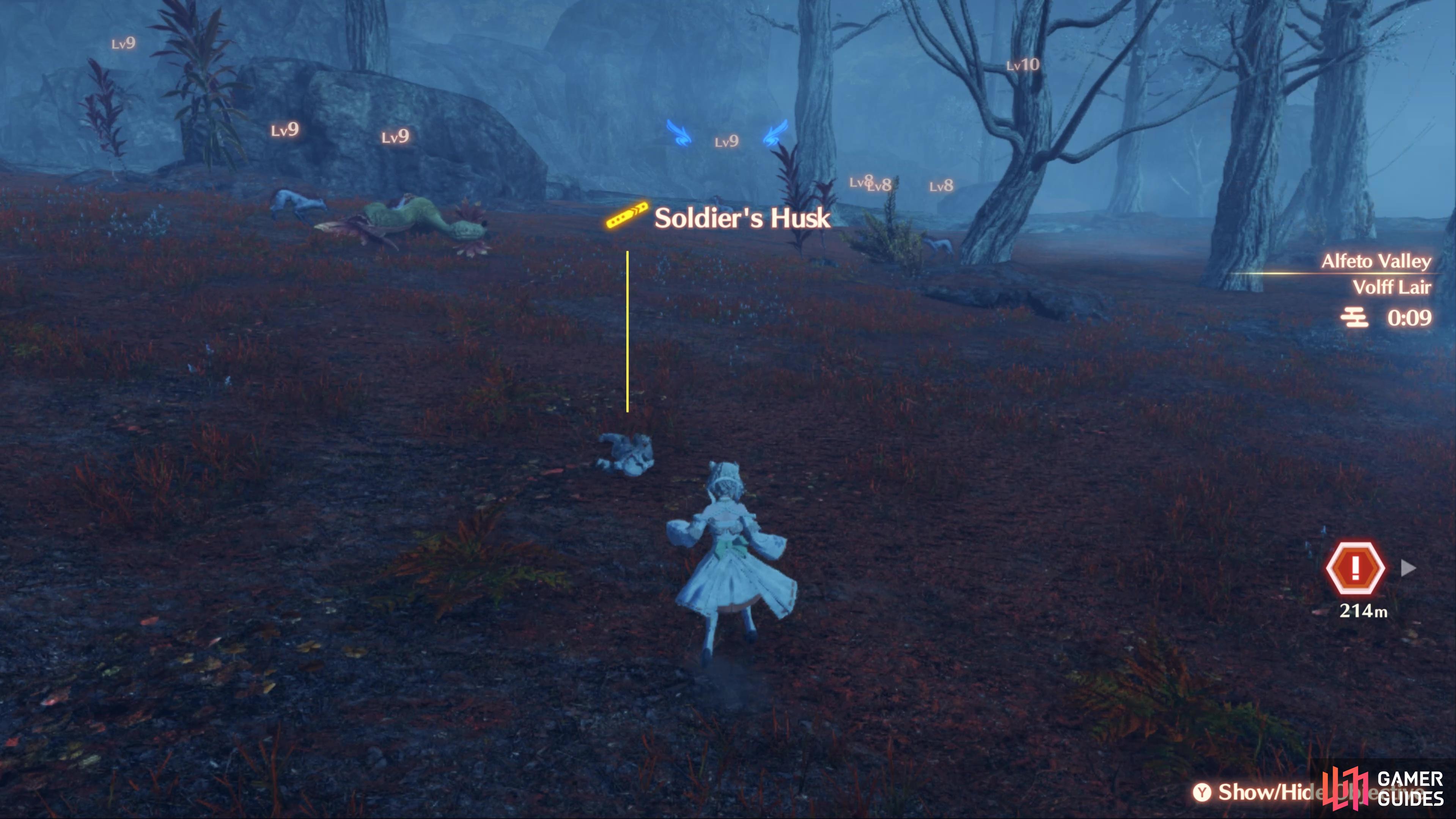 there's also a Soldier Husk along the way