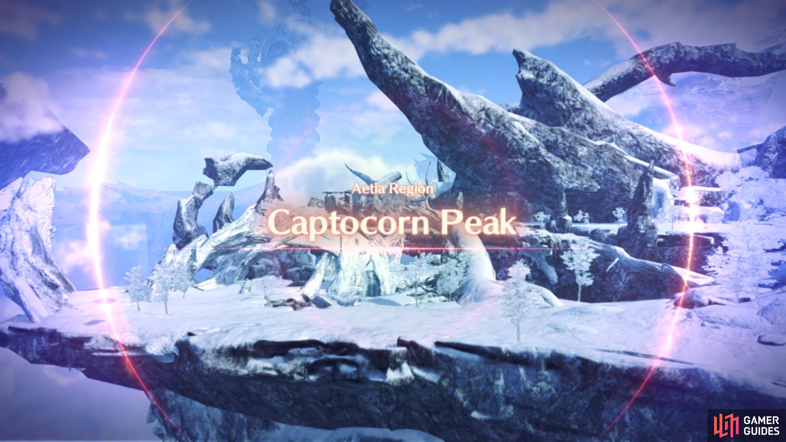 Being so high up, Captocorn Peak has a cold environment.