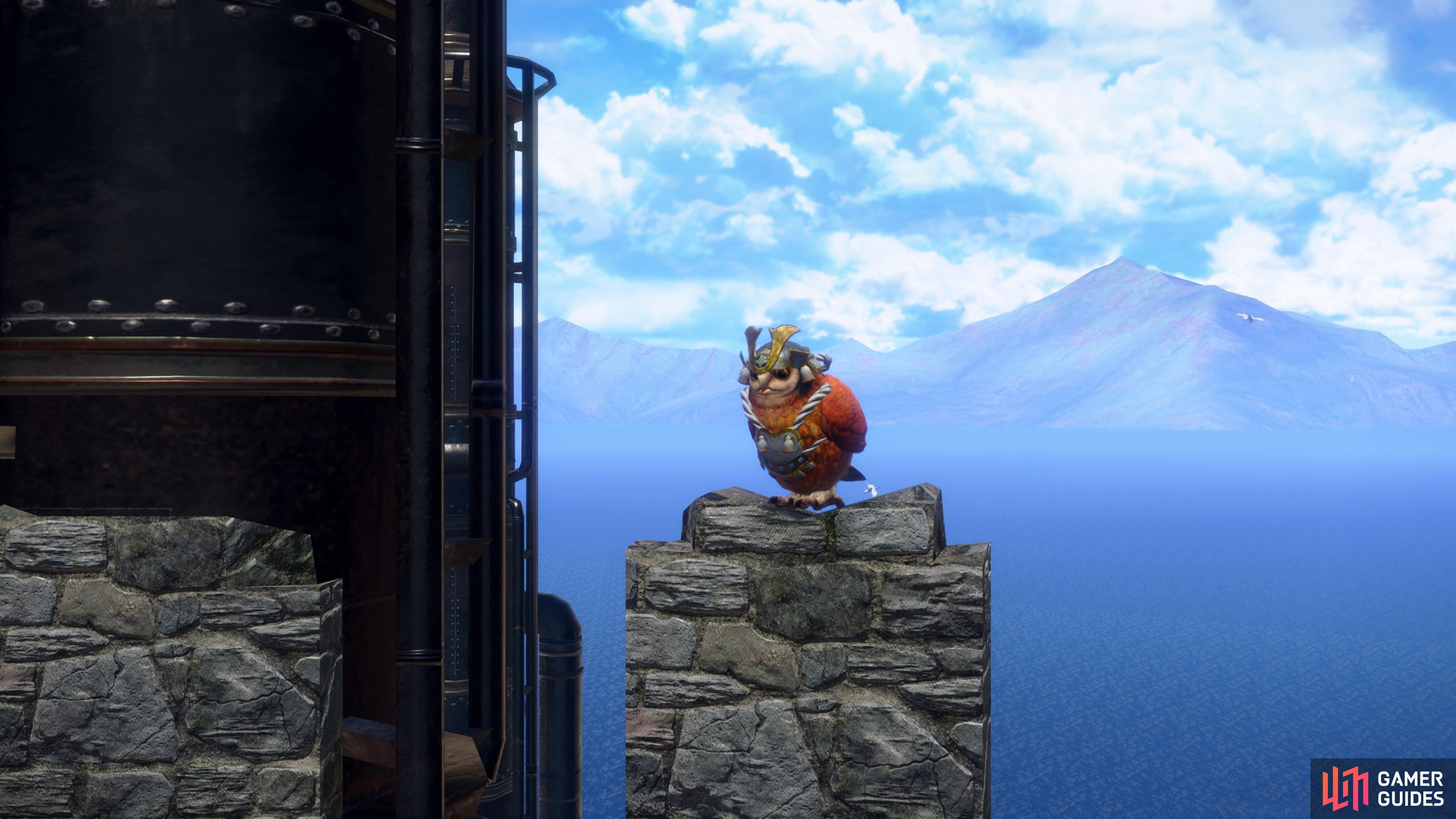 The first Cohoot can be a picture of your own Cohoot.