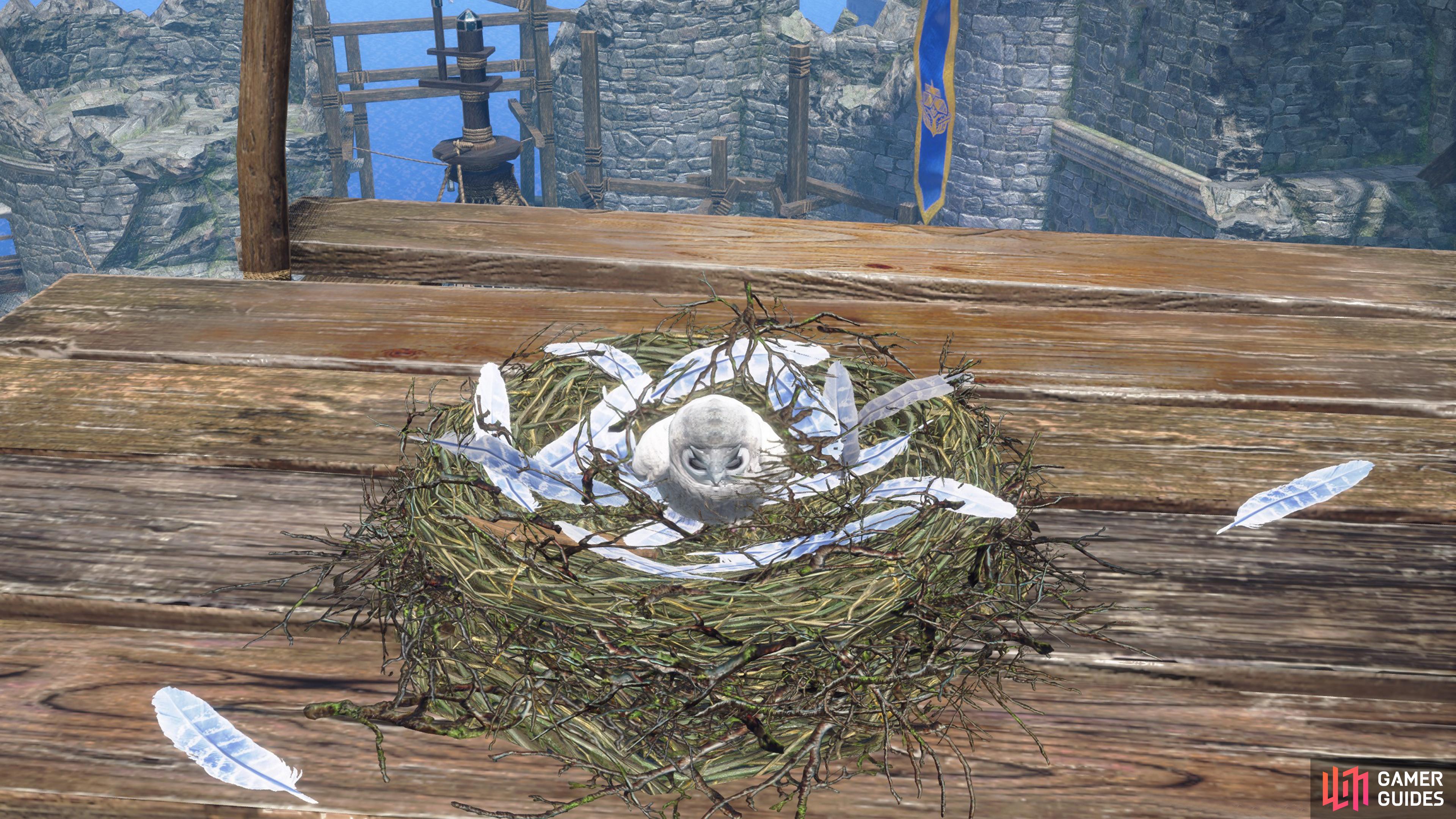 On top of the wooden platform will be a baby snow Cohoot, aww.