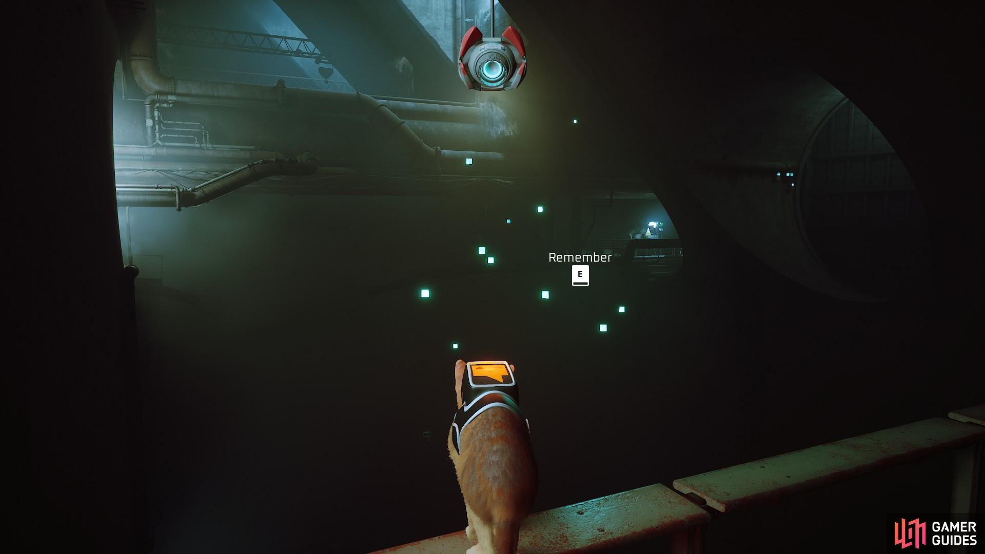 Once youre through the tunnel, jump on the ledge and get the first memory of the Sewers level.