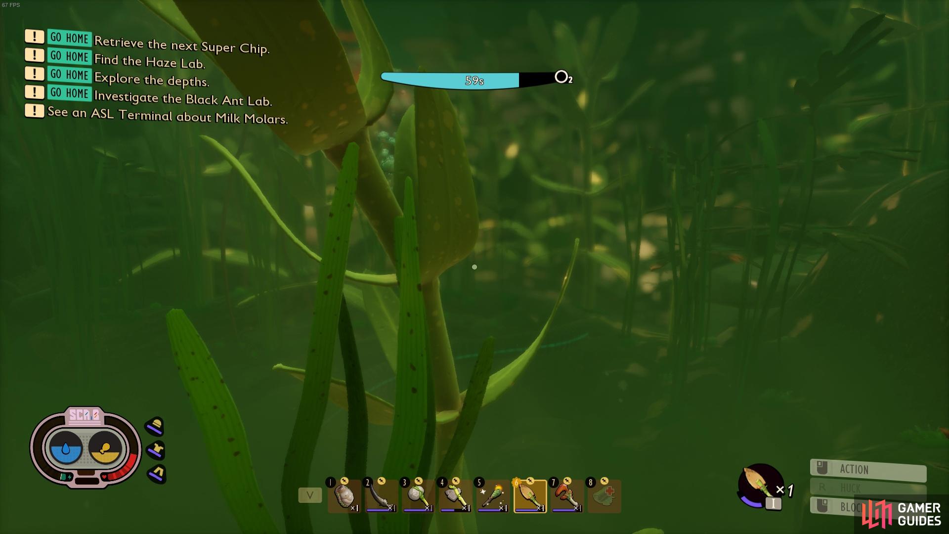 Chop the eelgrass with your dagger to get eelgrass strands.