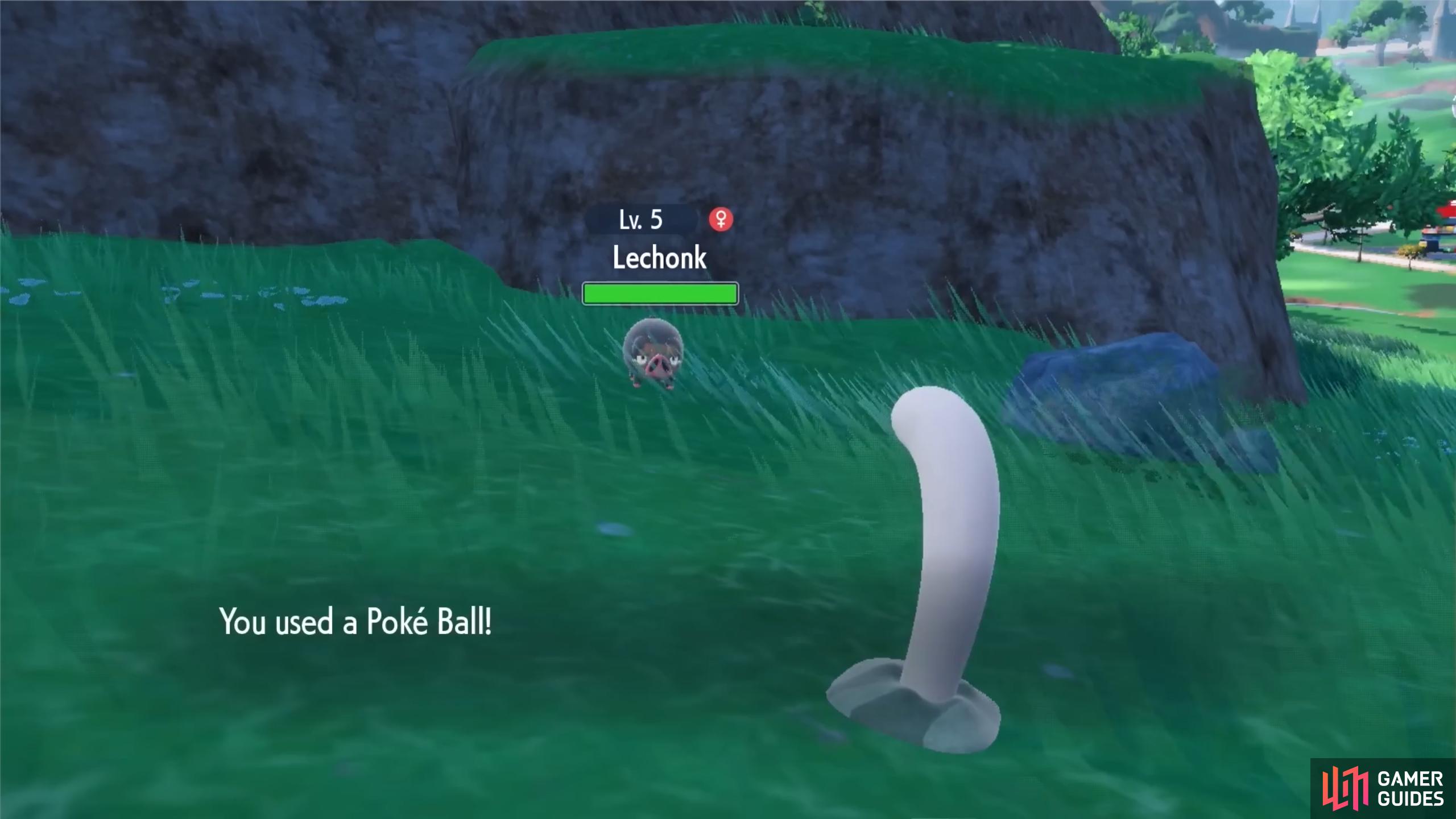 You can access Poké Balls by pressing the X button. (Credit: Serebii)
