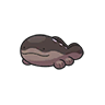 pokemon_sv_dex_sprite_clodsire.png