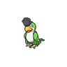 pokemon_sv_dex_sprite_squawkabilly.png