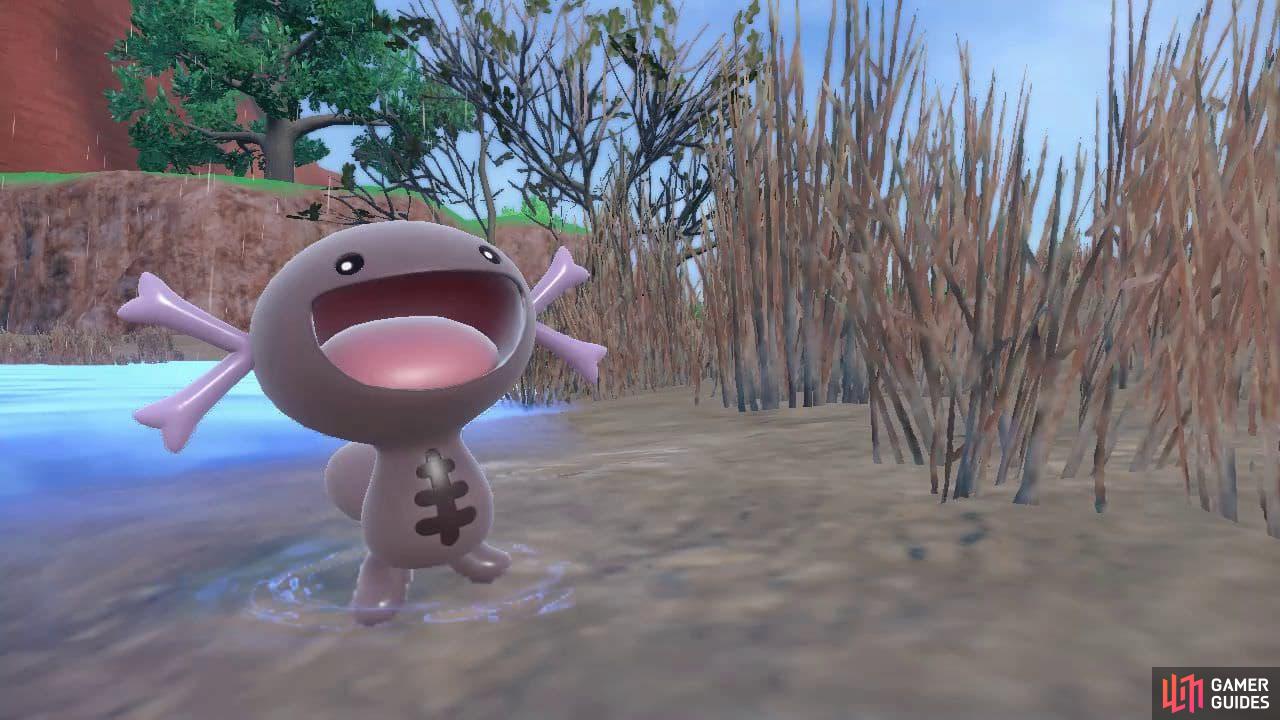 Paldean Wooper is Poison and Ground. (Credit: The Pokémon Company)