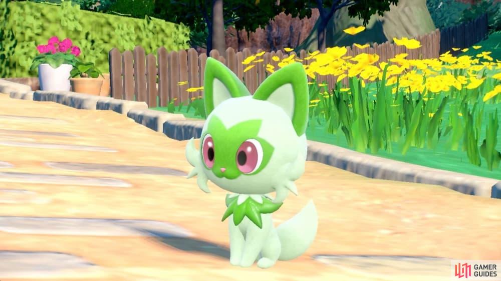 Sprigatito is the glorious Grass starter. (Credit: The Pokémon Company)