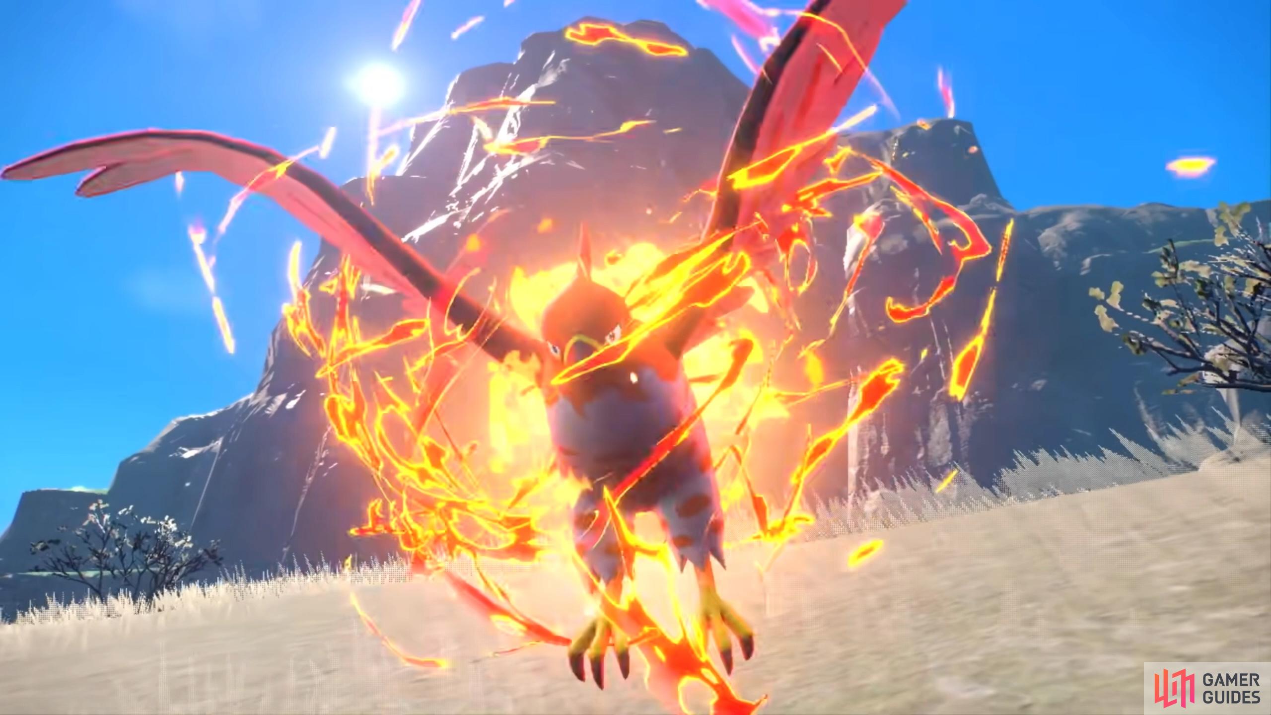 Talonflame in Scarlet & Violet (Credit: The Pokémon Company)