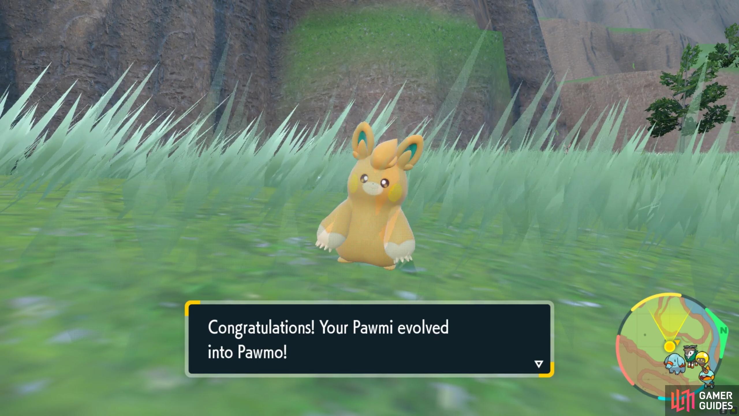 Pawmi evolves at Level 18.