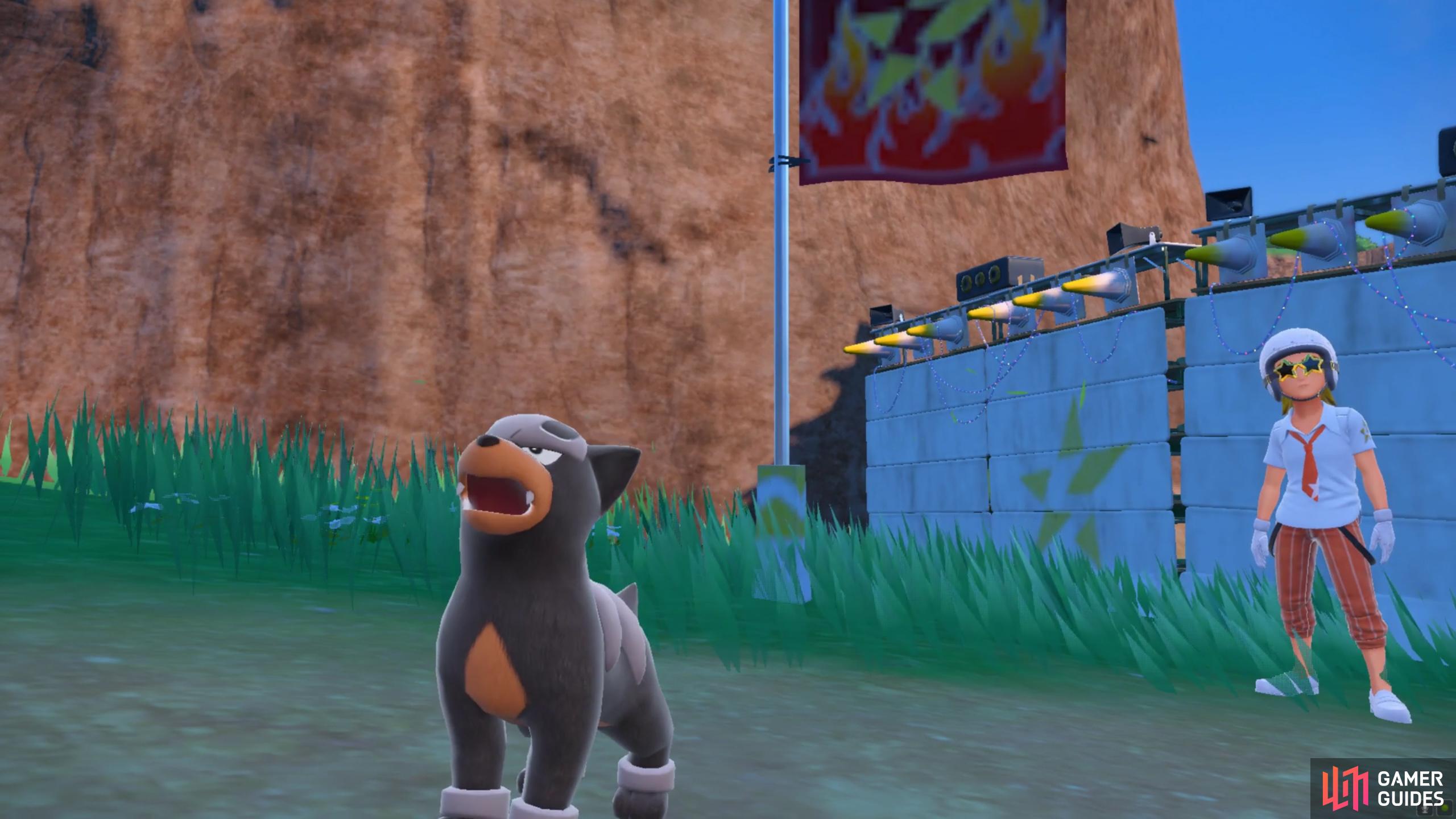 This Houndour is all bark and no bite.