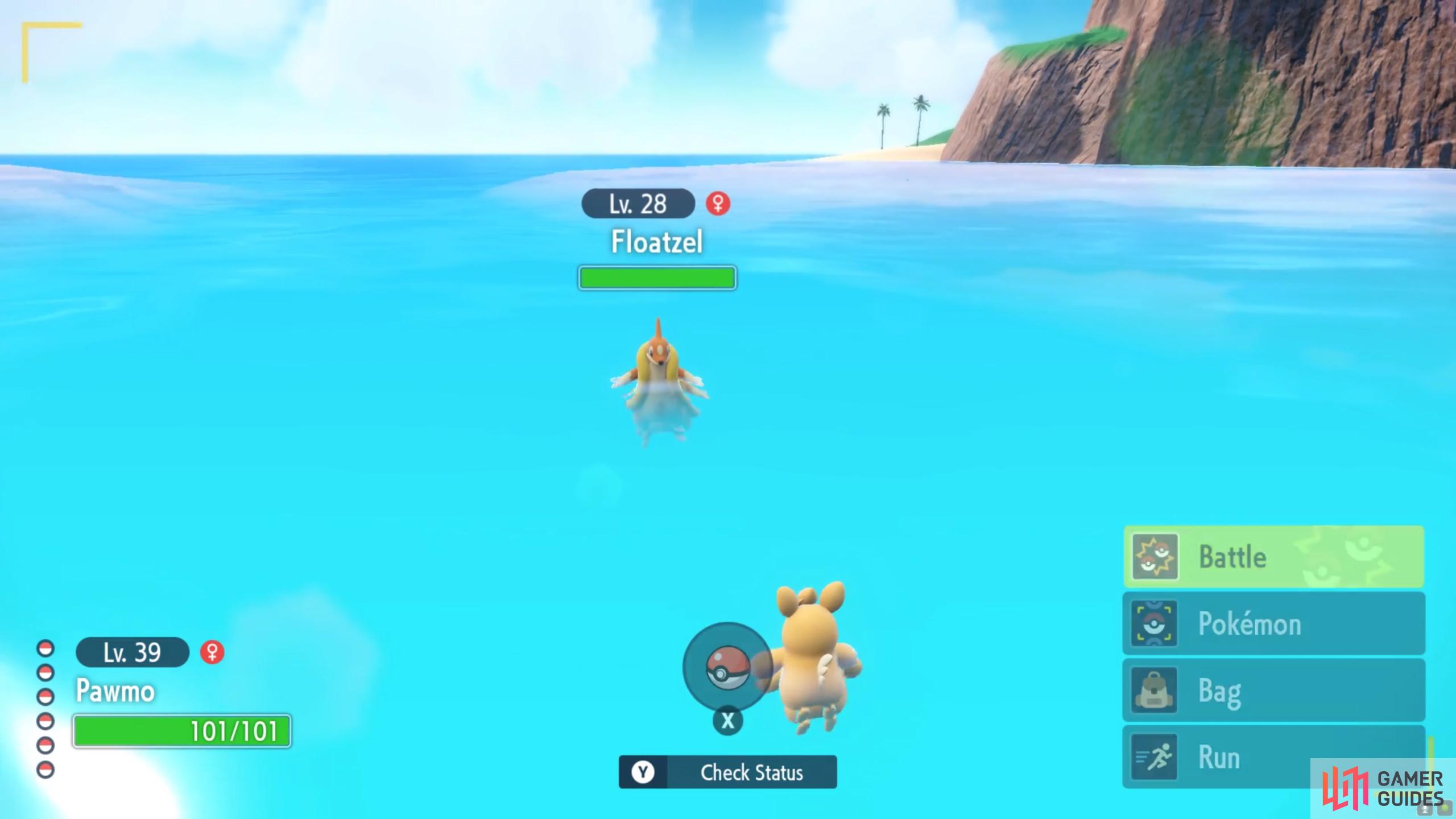 The Paldean sea has lots of Water-types too.